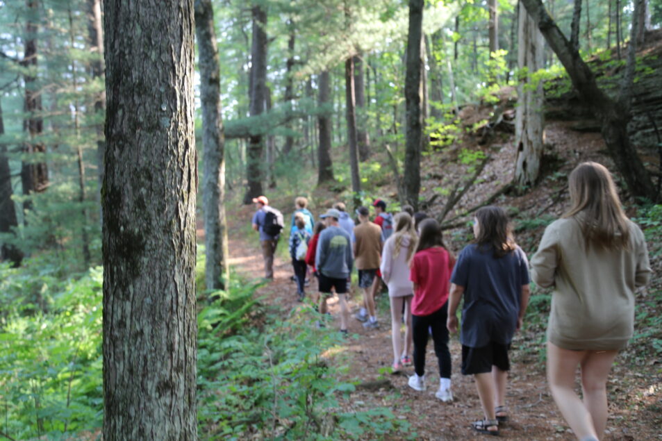 campers walk through forest